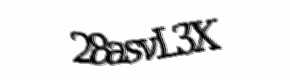 Security check image, please type the characters shown
